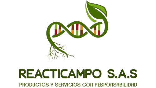 Logo Blanco Removebg Preview E1787687965265